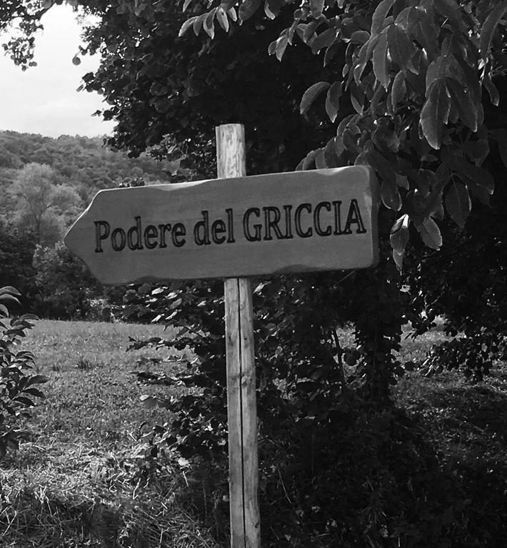 Podere Del Griccia Civitella in Val di Chiana Bagian luar foto