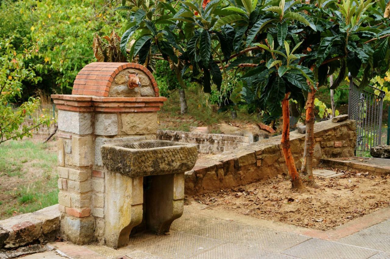 Podere Del Griccia Civitella in Val di Chiana Bagian luar foto